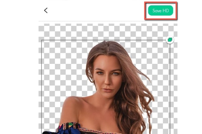 app to make transparent background apowersoft app