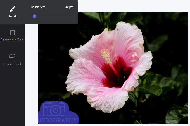 remove watermark from images